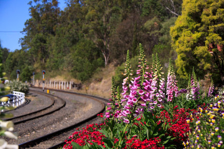 Railway Gardensの写真素材