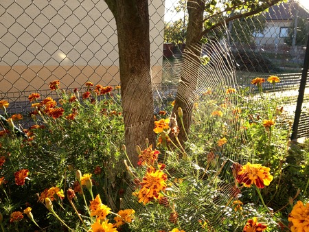 autumnの写真素材