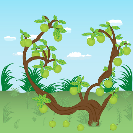 An old apple tree in the meadow with the harvest and fallen fruits on a background of blue sky. Vector illustrationのイラスト素材