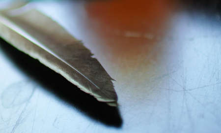 Feathers and Medicine wheelの写真素材