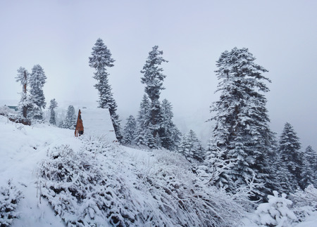 beautiful and amazing winter in Guria region. Great Panoramas from Gomismta mountains. Caucaus, Georgia - Imageのeditorial素材