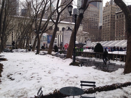City Park during winterの素材