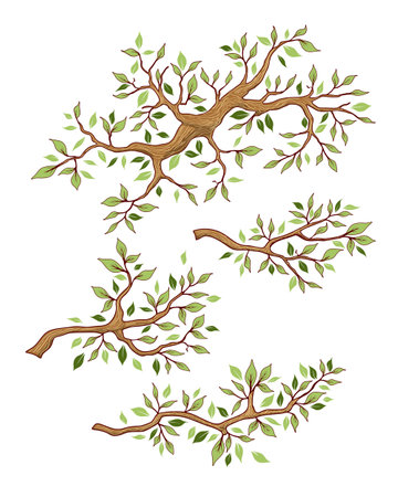 Branch summer on a white backgroundのイラスト素材