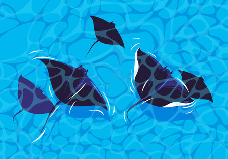 Vector illustration of sea stingrays swimming in the sea, top viewのイラスト素材