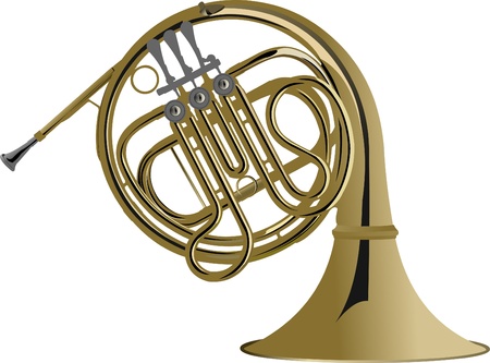 Music Instrument Series. Vector illustration of a french horn.のイラスト素材