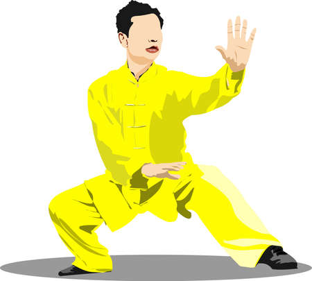 Oriental combat sports. Wu Shu. Colored 3d vector illustration.のイラスト素材