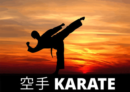 Oriental combat sports. Karate. Colored vector illustration. Translate Japan text karateのイラスト素材