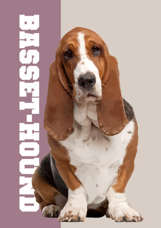 A close-up of a fawn beautiful basset dog. 3d vector poster illustration