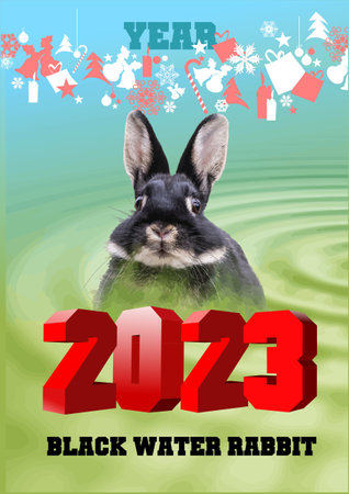 Happy Chinese New Year of Black Water Rabbit Greeting Banner Card. 3d color Vector illustrationのイラスト素材