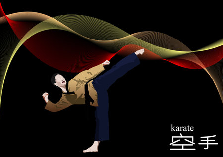 Oriental combat sports. Karate. Colored 3d vector illustration. Translate Japan text = karateのイラスト素材