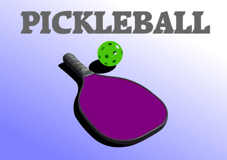 Pickleball paddle and pickle ball for you club or team design. Vector 3d illustration.のイラスト素材