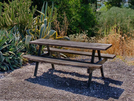 Old wooden picnic table in a park
