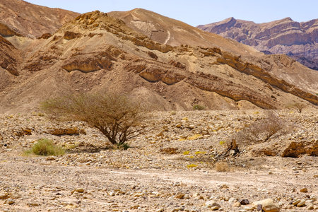 The Arava Desert in the Pillars of Amram near Eilat.の写真素材