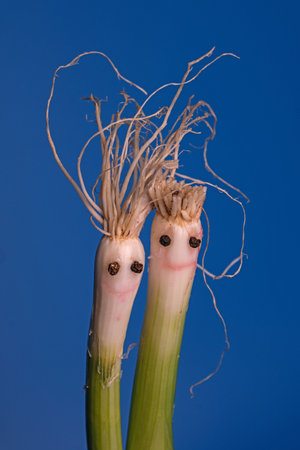 figure man and women made from green onions.の写真素材