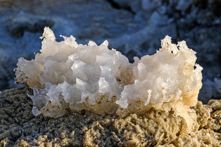 Dead Sea coast with stones covered by salt.の写真素材
