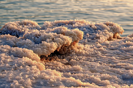 Dead Sea coast with stones covered by salt.