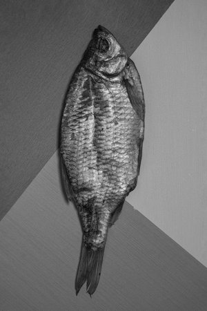 Dried Fish on Geometric Background in Black and White.