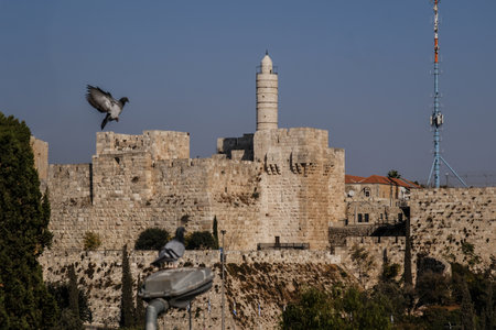 Jerusalem, Israel - May 26, 2025: Pigeons and Tower of David Citadel, Jerusalem Old City Walls.の写真素材