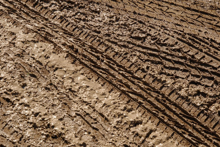 Close-up View of Deep Tire Tracks in Wet Brown Mud.の写真素材