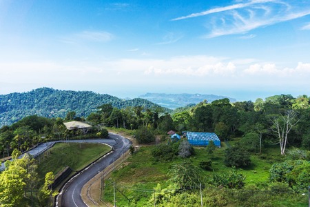 Serpentine road with palms and trees on tropical islandの写真素材