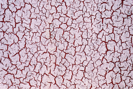 Cracked background of white surface of wallの写真素材