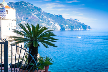 View of little palm tree in Atrani village background Amalfi Coast in Italy in summer.の写真素材