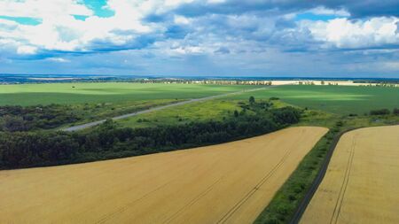 Aerial top view photo from flying drone of green rice fields in countryside Land with grown plants...