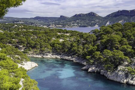 Calanques de Port Pin bay, Calanques National Park near Cassis fishing village, Provence, South France, Europeの写真素材