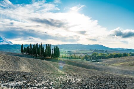 Tuscany landscape at gentle sunset light. Typical for the region tuscan farm houses, hills, vineyard. Italy, Europeの写真素材