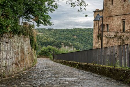 Narrow street of medieval ancient tuff city Sorano with green plants and cobblestone, travel Italy backgroundの写真素材