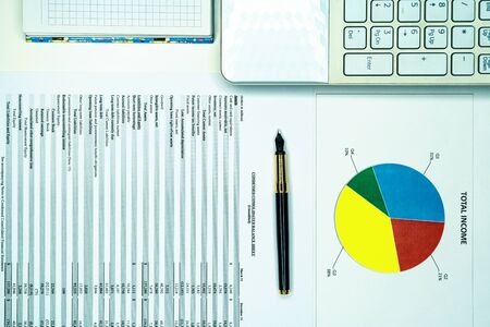 Showing business and financial report. Accounting statement