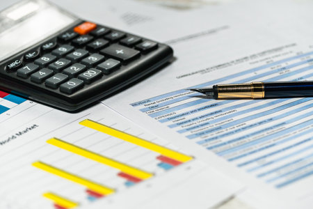 Audit The Company Balance Sheet And Financial Statement. Checking financial report, Selective focusの写真素材