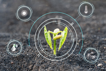 Interface circle on sprout plant. Smart farm technology for detection and control system. Innovation technology for agricultureの写真素材