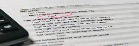 Income statement in stockholder report book. Accounting and financial report analysis