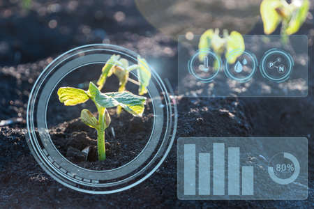 Smart farming with IoT, futuristic agriculture concept: digital monitoring rainfall, temperature, humidity experience on digital holographic screenの写真素材