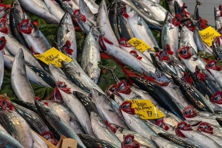 Market for marine fish. Street market sale of freshly caught fish. Fish shop