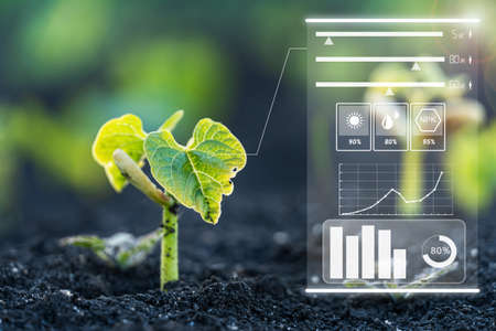 Smart farm technology of monitoring the growth of sprougt plants with design infographics. Innovation technology for agricultureの写真素材