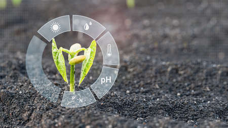 Smart farming with IoT, futuristic agriculture concept: digital monitoring of crops of parameters on digital holographic screenの写真素材