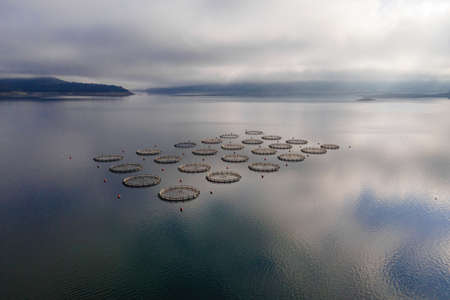 Aerial view of trout farm with circular cages in mountain lakeの写真素材
