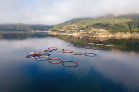 Fish farm with circular cages in lake or seaの写真素材