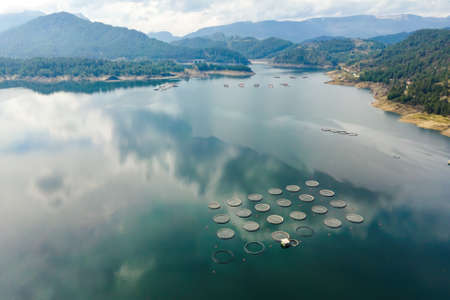 Fish industry and trout fish farm with circle cages in mountain lake, aerial viewの写真素材