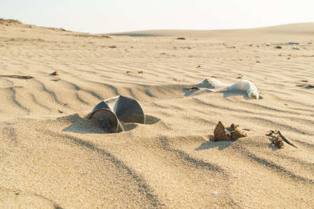 Old rusty beverage can in the sand desert. Pollution of nature recycle the trash. Environment Global...