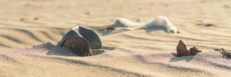 Old rusty beverage can in the sand desert. Pollution of nature recycle the trash. Environment Global problem. Wide bannerの写真素材