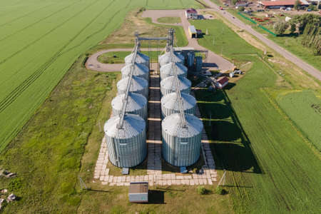 Large silver granary. Modern grain elevators. Metal industrial silos for agribusiness. New plant for...
