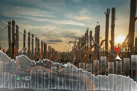 Global food crisis after war decimated a crop of corn. Embargo and sanction for export for Food and...