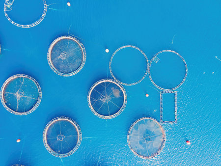 Fish farm floating net sea water surface coast skyline seafood business aquaculture, aerial viewの写真素材