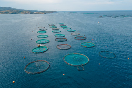 Aquaculture offshore fish farming in sea for cultivation fish in lagoonの写真素材