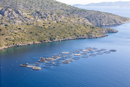 Offshore aquaculture farming