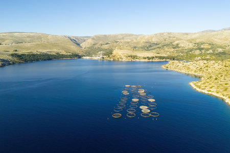 Aquaculture fish farming next to seacoast Greece. industry produce a sustainable animal proteinの写真素材