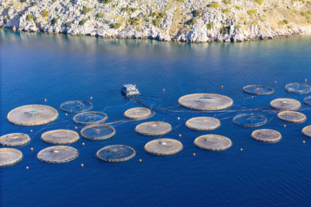 Offshore aquaculture farming fish farm in sea for cultivation fish. Aerial viewの写真素材